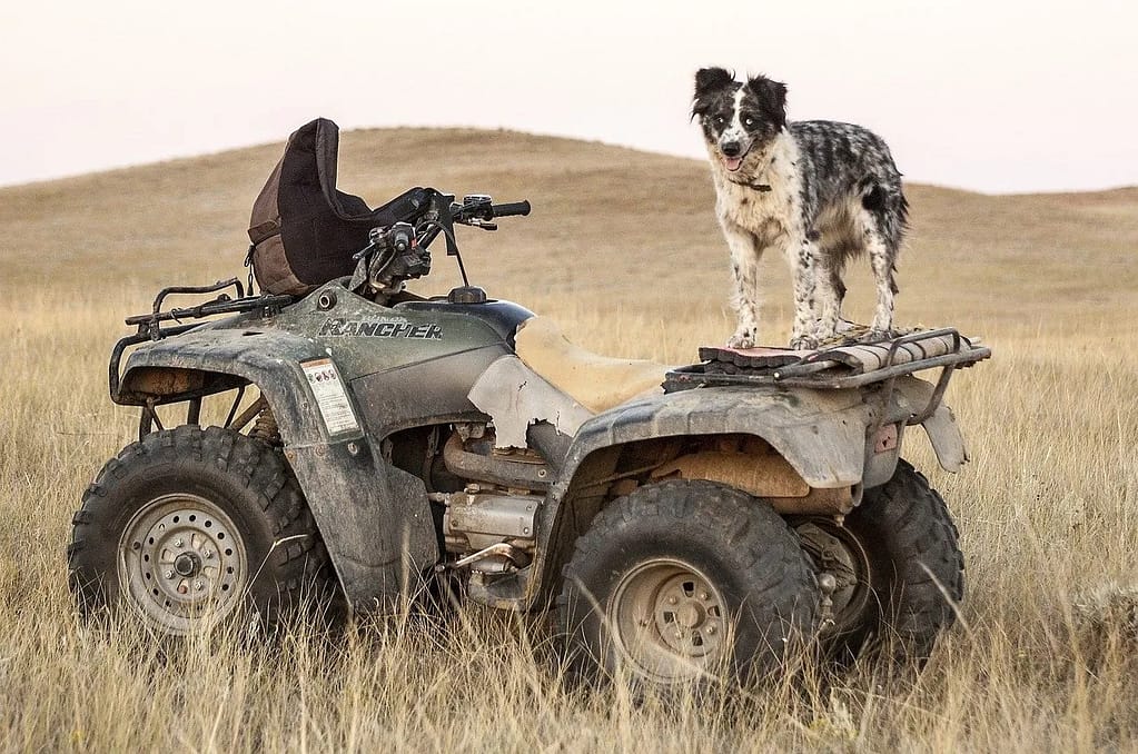 ATVs, 4-Wheelers, Side-by-sides and other all terrain vehicles can be a major aid to accessing your ideal hunt.